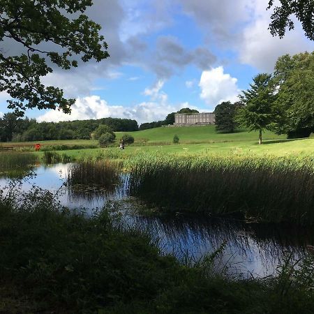 Curraghchase Cottage Kilcornan Eksteriør bilde
